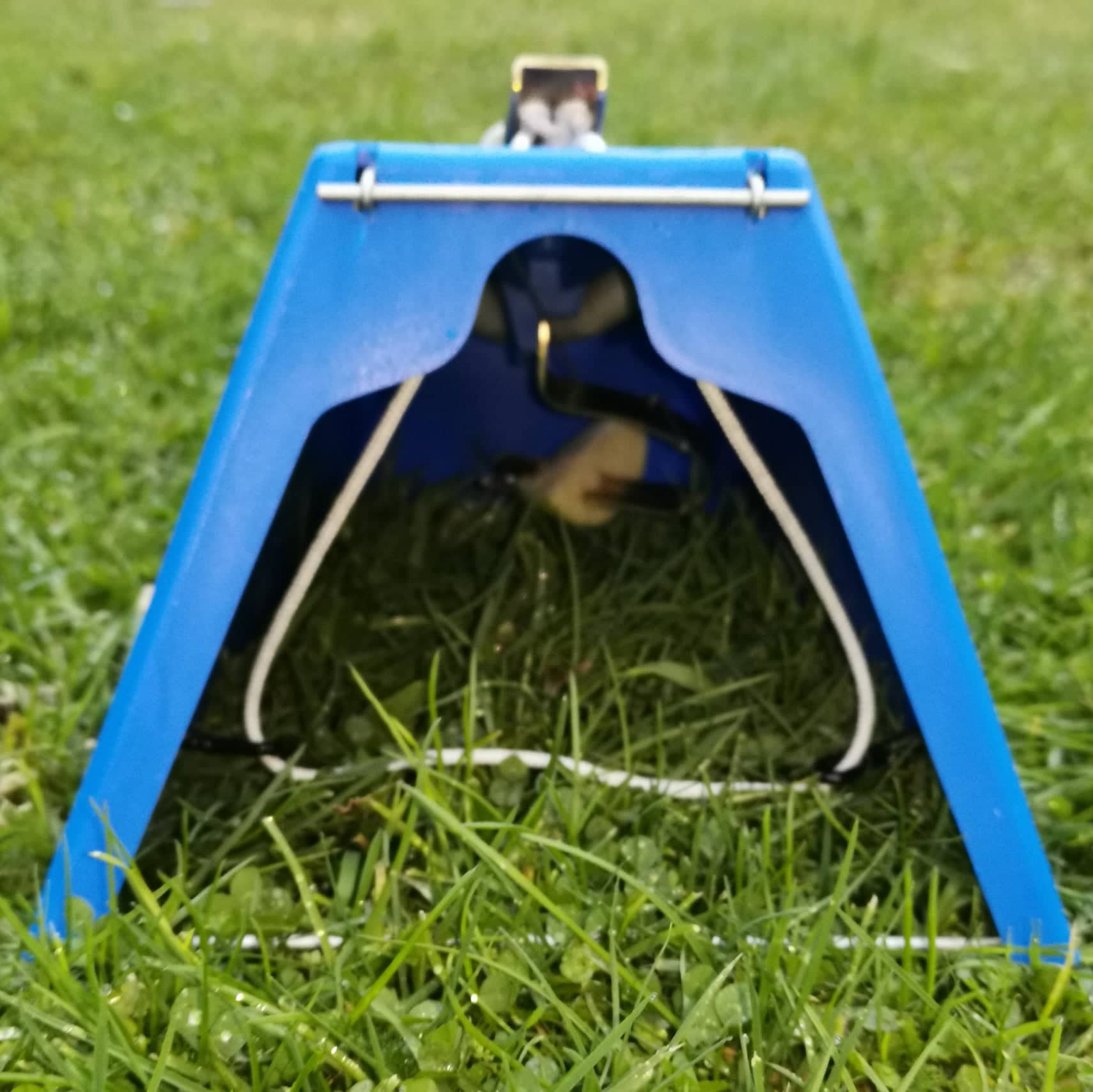 Pest trap Possums, Mustelids & more